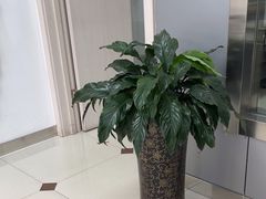 -惠耳听力助听器(登云路店)