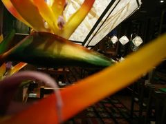 -云海肴云南菜·蒸汽石锅鱼(北京良乡华冠店)