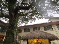 -普陀山雷迪森庄园