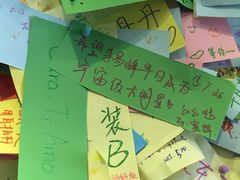 -志龙皇冠吃货椰子铺