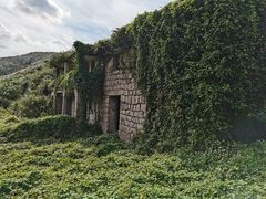 -东极岛景区