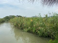 -下渚湖国家湿地公园科普馆