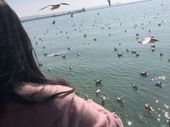 -滇池海埂公园