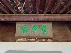 -团结湖公园