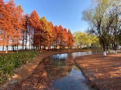 -西山漾湿地公园