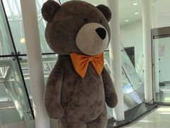 -济州岛泰迪熊博物馆