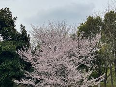 -堤角公园
