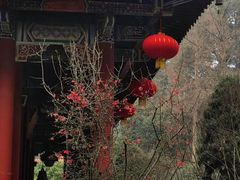 -都江堰普照寺