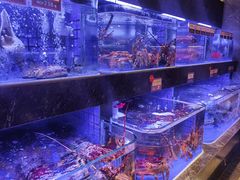 -協成海鮮火鍋(老店)