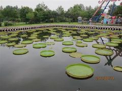 -南戴河国际娱乐中心