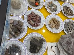 -游龙石文化科普馆