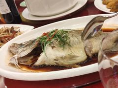 -锦粤宫·融合粤菜(上海金沙江店)