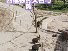 -青藏高原野生动物园