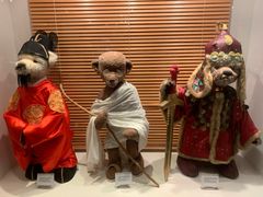 -济州岛泰迪熊博物馆