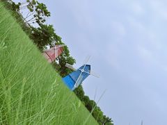 -花博汇(知音花月夜)