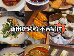 -南京大牌档(青岛万象城店)