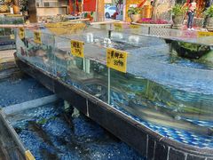 -大门水乡·顺德菜