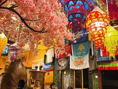 -吉祥圣雪藏餐