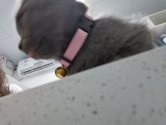 -宠颐生动物医院·全科·骨外科中心·利宠康分院