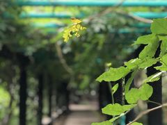 -共青国家森林公园-南大门停车场