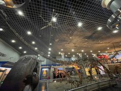 -国家自然博物馆