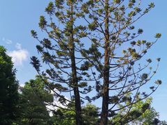 -四海公园(南山区)