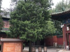 -历代帝王庙博物馆