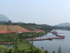 -东部华侨城