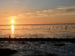 -南汇新城海滩