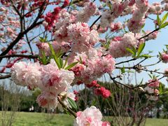 -蜀冈西峰生态公园