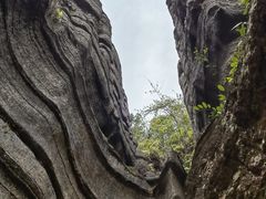 -梭布垭石林景区