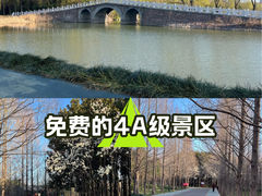 -禹州森林植物园