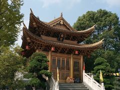 -上海东林寺(金山区)