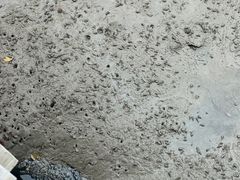 -北海金海湾红树林生态旅游区