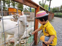 -上海长兴岛郊野公园