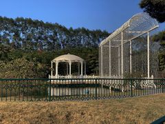 -迪茵湖田家舍生态农场