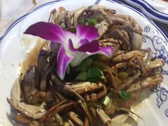 -小鱼儿海鲜港(新村十区店)