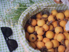 -东山风景区(洞庭东山)