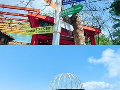 -亚龙湾热带天堂森林公园