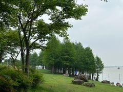 -滆湖低碳生态公园