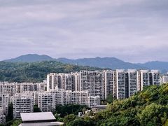 -福道