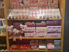 -九木杂物社(东方宝泰店)