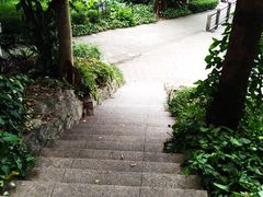-南岗山公园