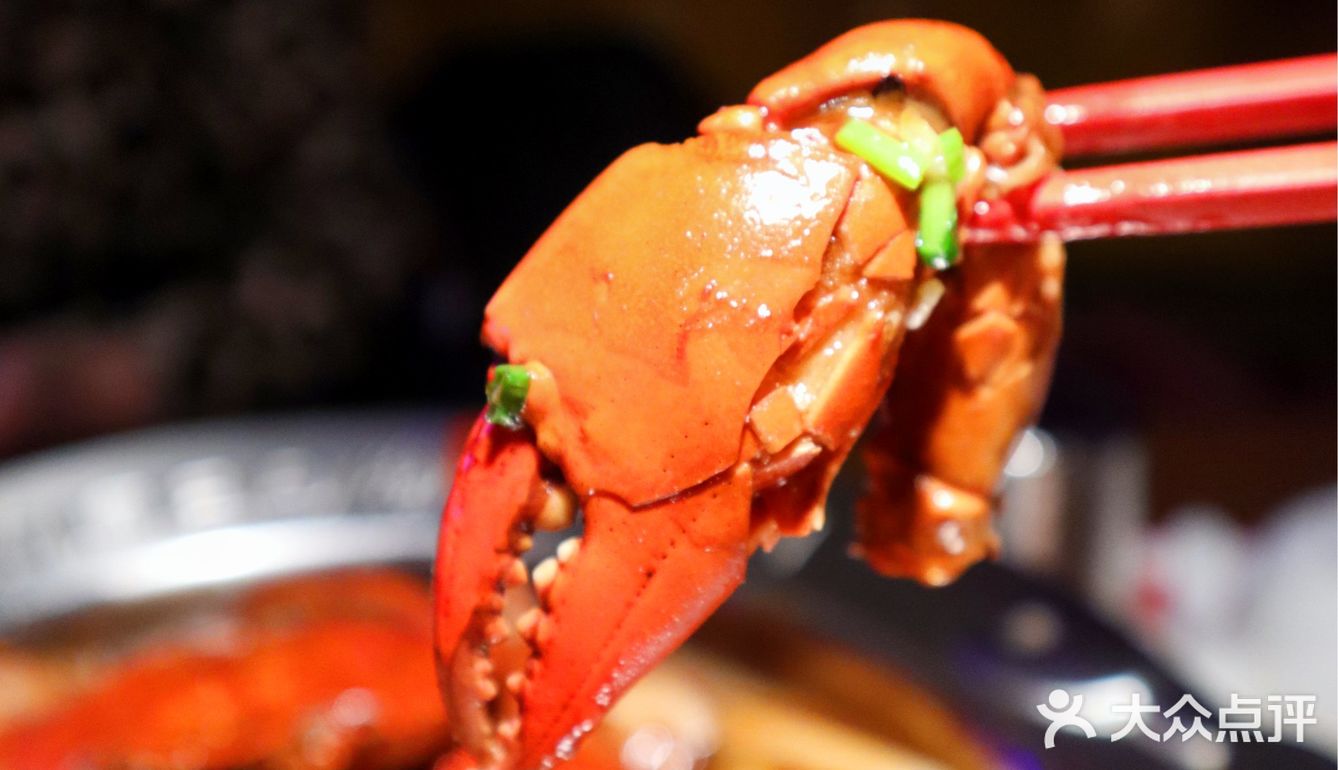 五折肉蟹煲🦀！快去打卡‼️