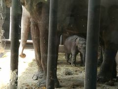 -石家庄市动物园