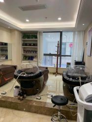 -碧莲盛·不剃发植发