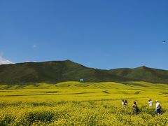 -扁都口生态休闲旅游区