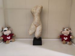 -Yestar艺星医疗美容医院