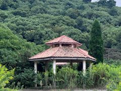 -平湖九龙山旅游度假区