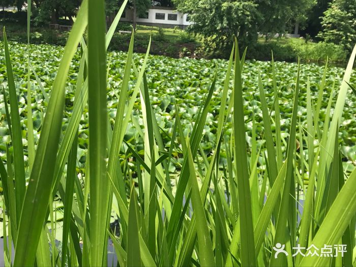 沈阳植物园图片